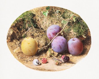 Plums and mulberries (1790-1864) aesthetic | Free Photo - rawpixel