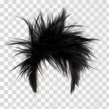 png a black feather