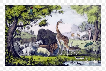 Png Adam naming animals, vintage | Free PNG - rawpixel