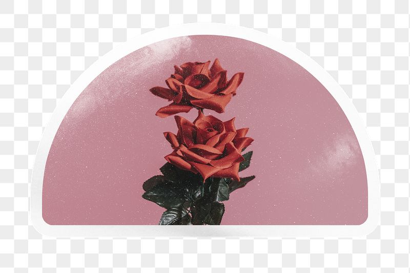 PNG aesthetic red rose label, | Free PNG - rawpixel
