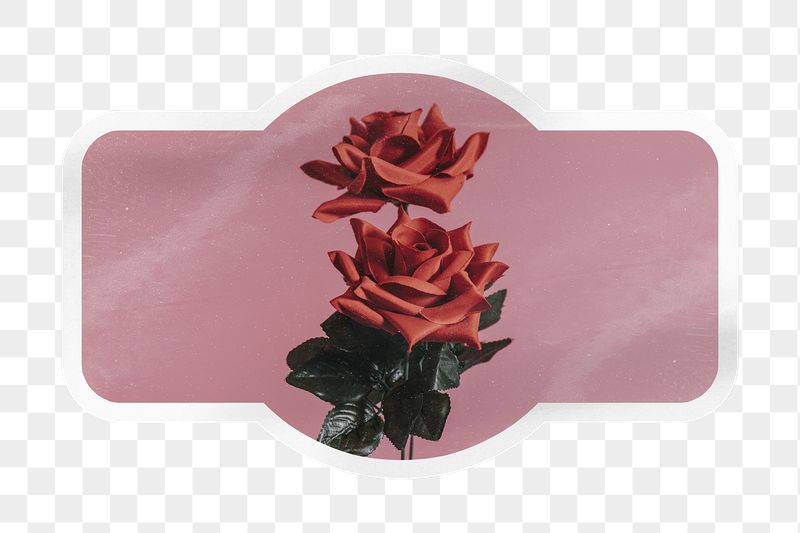 PNG aesthetic red rose label, | Free PNG - rawpixel