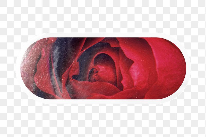 PNG aesthetic red rose, macro | Free PNG - rawpixel