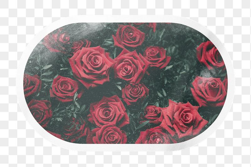 PNG aesthetic red roses label, | Free PNG - rawpixel
