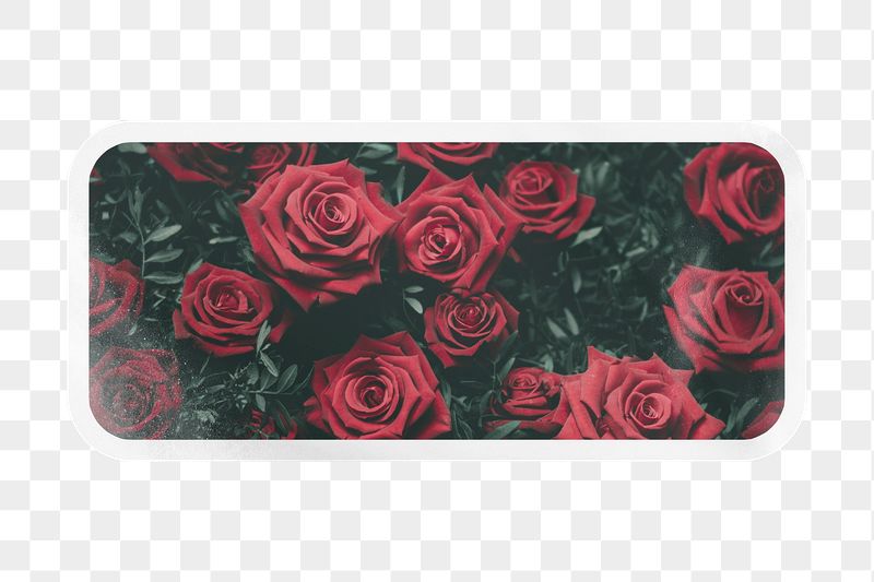 PNG aesthetic red roses label, | Free PNG - rawpixel