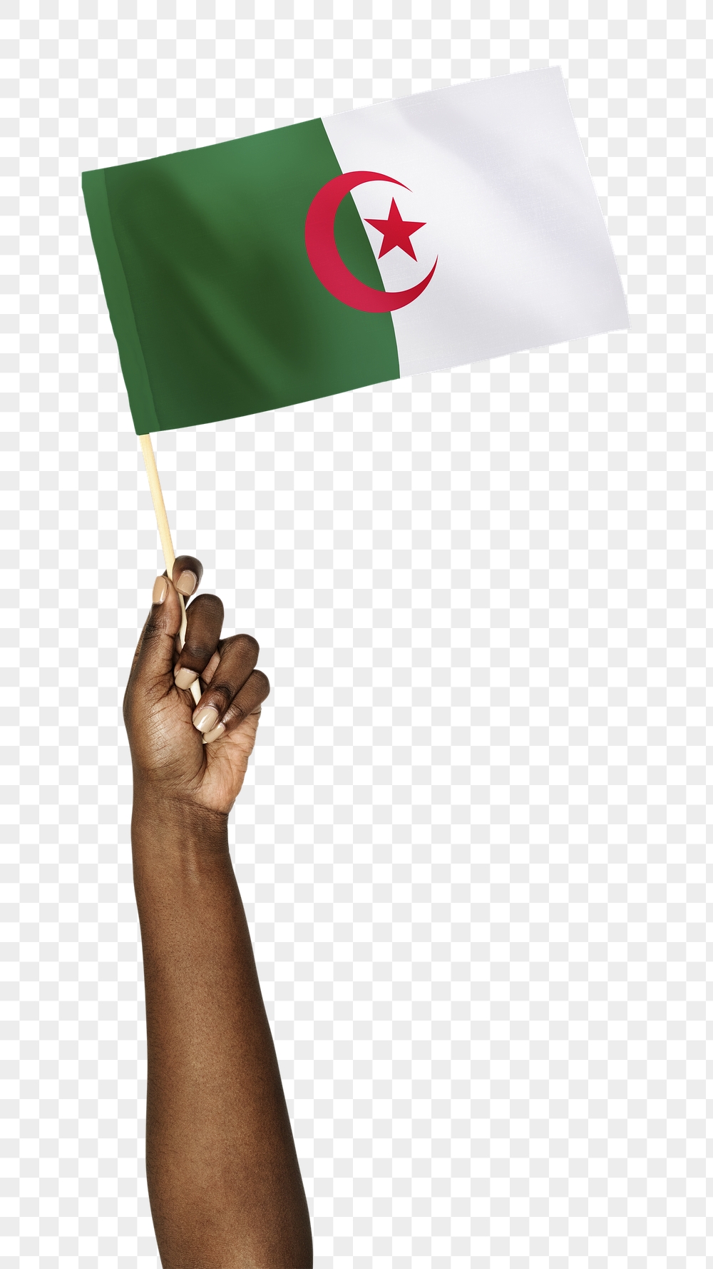 Png Algeria's flag in black | Free PNG - rawpixel