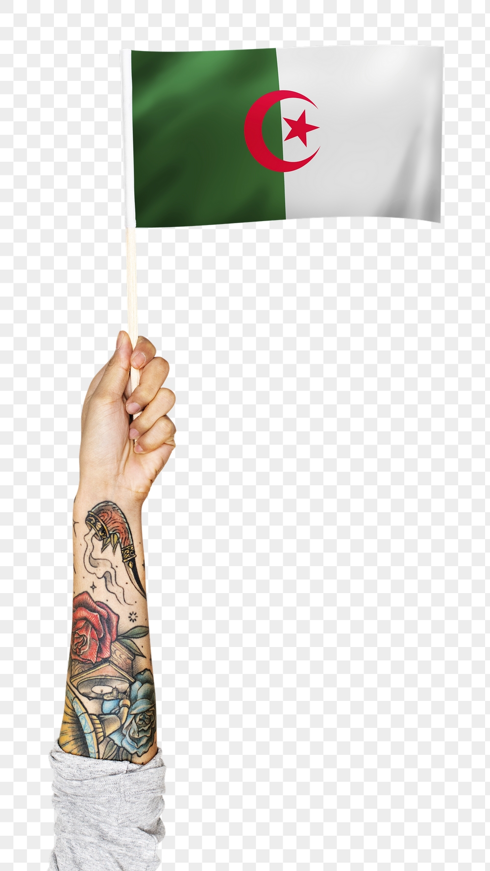 Png Algeria's flag, tattooed hand | Free PNG - rawpixel