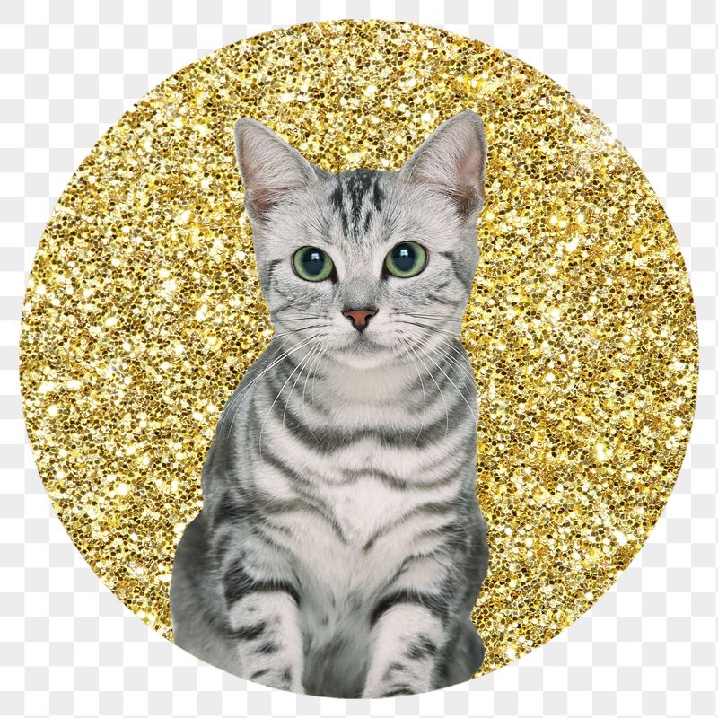 Png American shorthair cat badge | Free PNG - rawpixel
