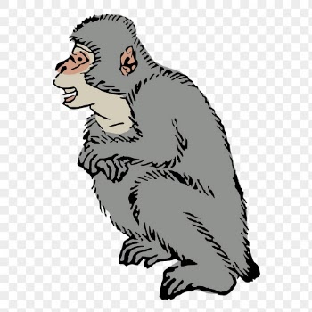 PNG Asian monkey, animal clipart, | Free PNG Illustration - rawpixel