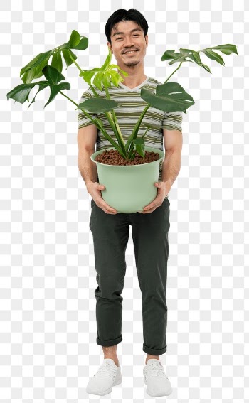 Png Asian plant parent mockup holding potted… | Free stock illustration | High Resolution graphic