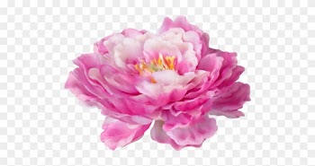 Png Bee Bluelove El47 Bee Bluelove El48 - Rose