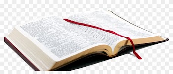Png Bible - Open Bible Hd Png