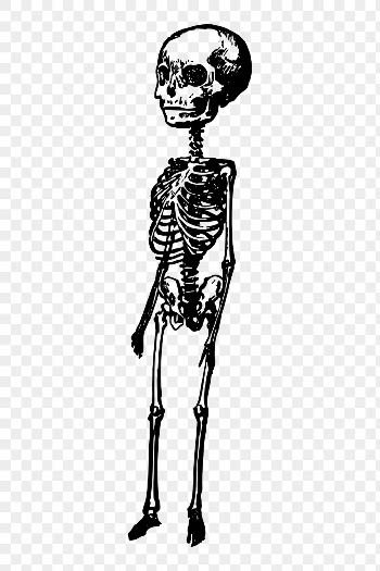 Png big head skeleton sticker, | Free PNG - rawpixel