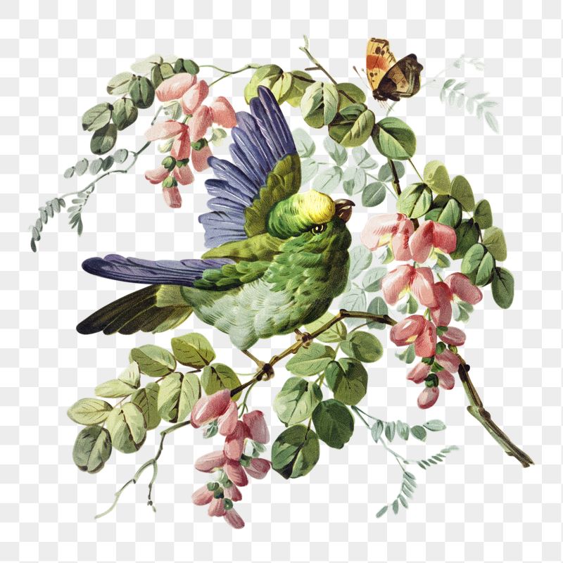 Png bird and nature sticker, | Free PNG - rawpixel