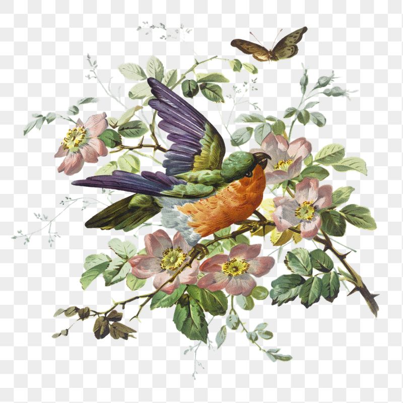 Png bird and nature sticker, | Free PNG - rawpixel