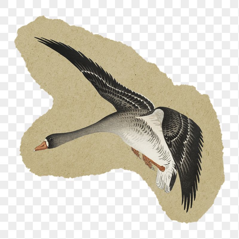 Png Birds at full moon | Free PNG - rawpixel
