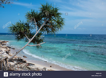 Png Bismarck Sea Stock Photos & Png Bismarck Sea Stock Images - Alamy