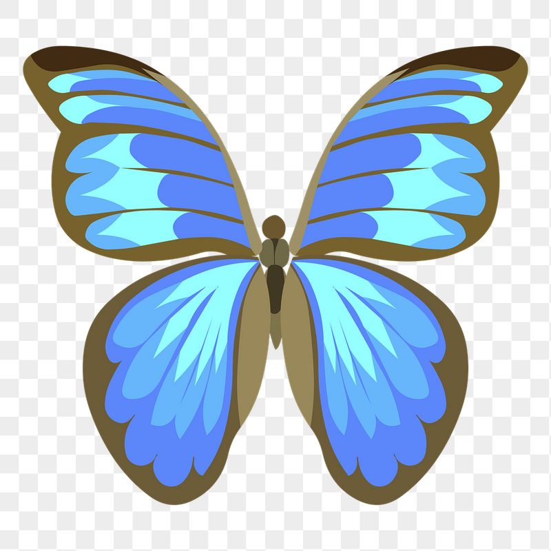 PNG blue butterfly, animal sticker, | Free PNG - rawpixel