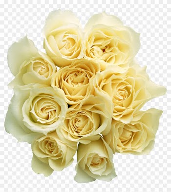 Png形式でダウンロード - Bouquet Yellow Roses Png