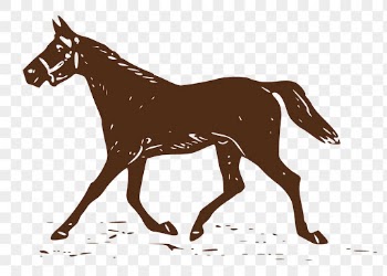 PNG brown trotting horse, animal | Free PNG Illustration - rawpixel