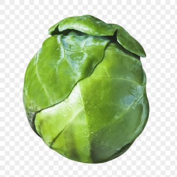 Png Brussels sprout sticker, food | Free PNG - rawpixel