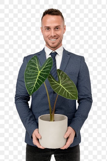 Png businessman mockup holding potted… | Free stock illustration | High Resolution graphic
