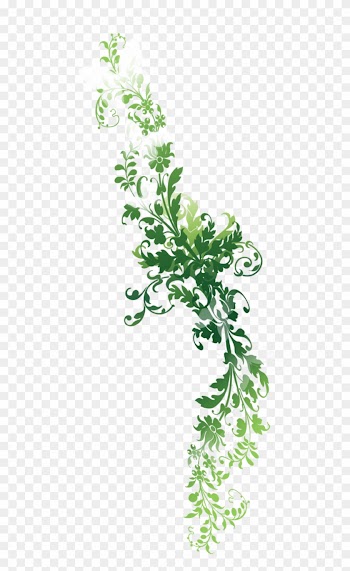 Png-butterfly Elegance By Ucurmi - Vector