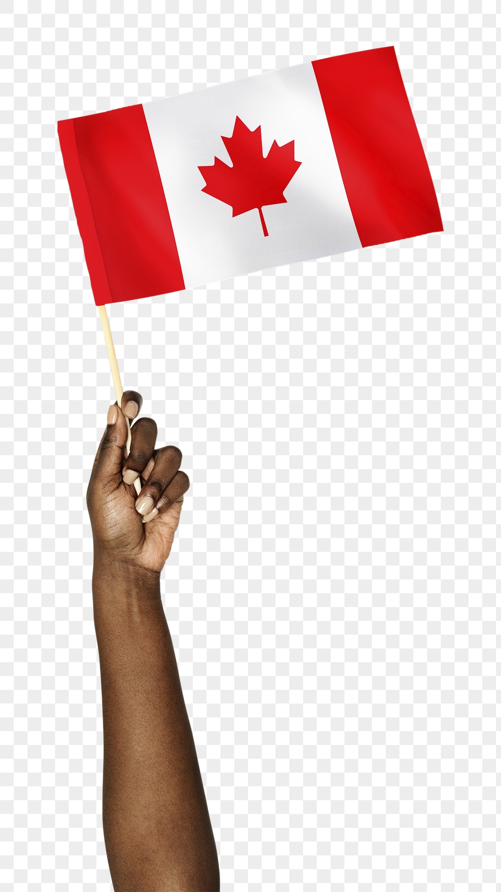 Png Canada's flag in hand | Free PNG - rawpixel