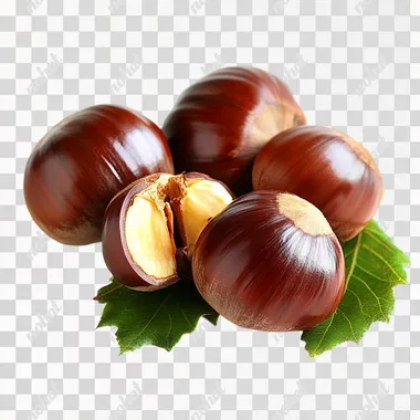 PNG Chestnuts with Leaves on White Background from Forest Harvests PNG Chestnuts with Leaves on White Background from Forest Harvests