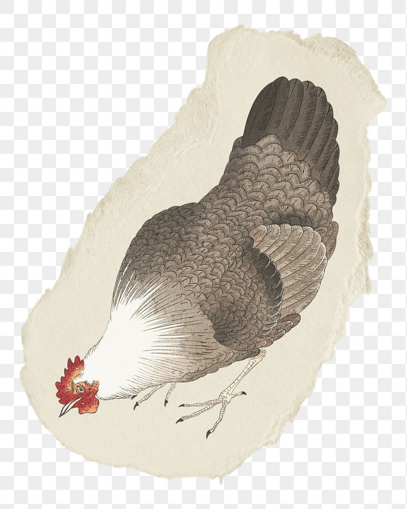 Png chicken sticker, Ohara Koson's | Free PNG - rawpixel