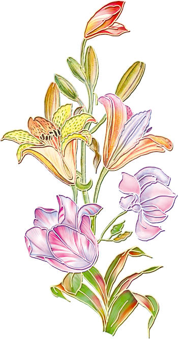 png Colorful Floral Illustration with Lilies and Tulips