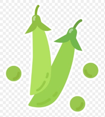 Png colorful green bean vegetable sticker