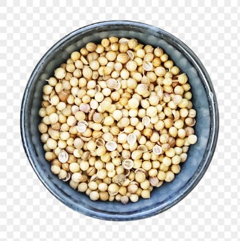Png coriander seeds sticker, food | Free PNG - rawpixel