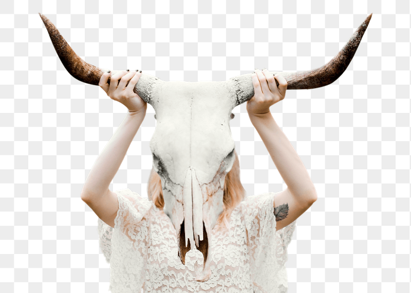 PNG cow sculpture sticker, transparent | Free PNG - rawpixel