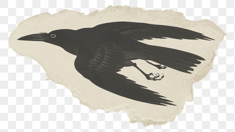 Png Crow sticker, Ohara Koson's | Free PNG - rawpixel