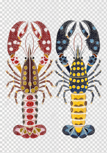 PNG Cute Crayfish Artwork in Abstract Style