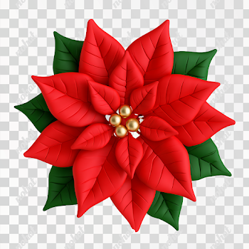 PNG Cute Minimalist 3D Clay Poinsettia Illustration