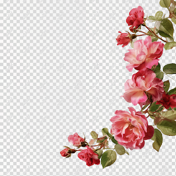 PNG Delicate Rose Border for Sign on Light Background