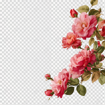 PNG Delicate Rose Border on Light Background
