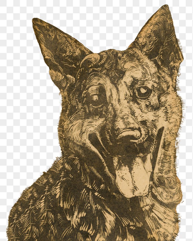 Png Dick Ket's dog sticker, | Free PNG - rawpixel