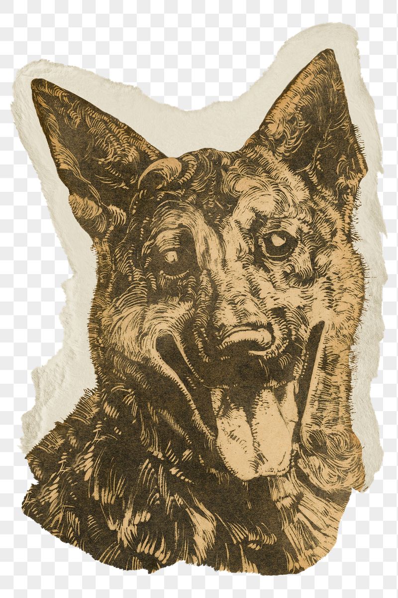 Png Dick Ket's dog sticker, | Free PNG - rawpixel