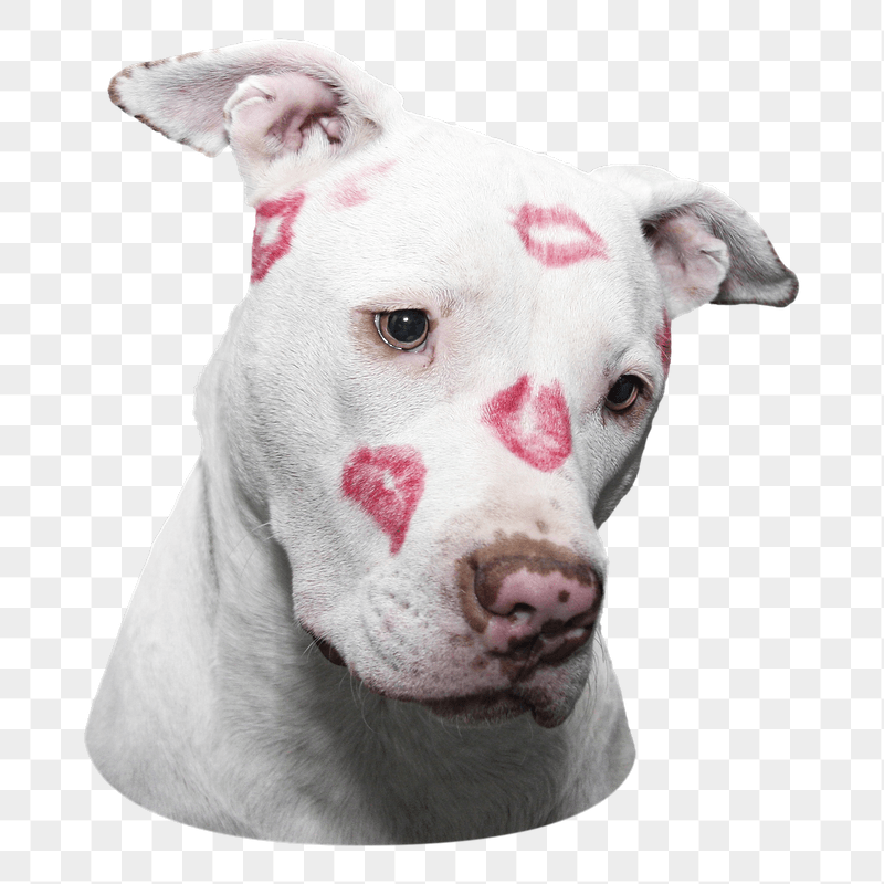 Png dog with lipstick kisses | Free PNG - rawpixel