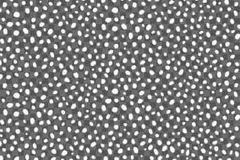 Png dot background with white pattern | Free stock illustration | High Resolution graphic
