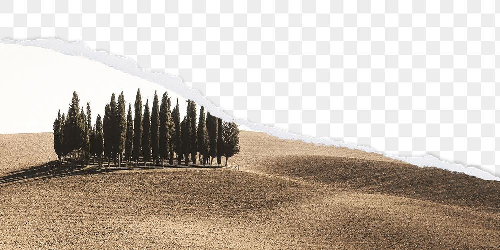 PNG dried land border, ripped | Free PNG - rawpixel