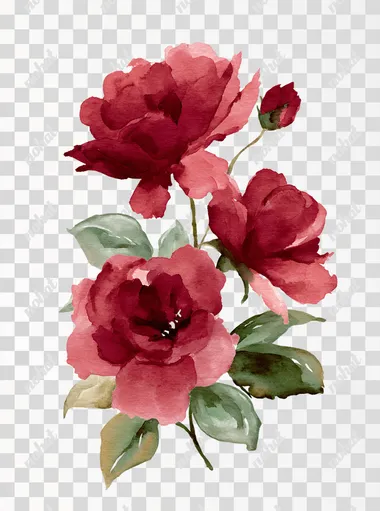 PNG Elegant Deep Red Roses Watercolor Arrangement PNG Elegant Deep Red Roses Watercolor Arrangement