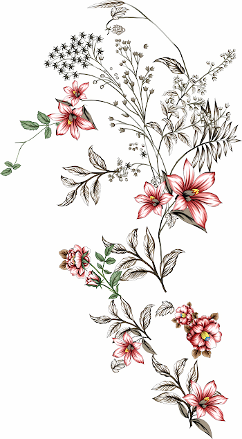 PNG Elegant Floral Illustration