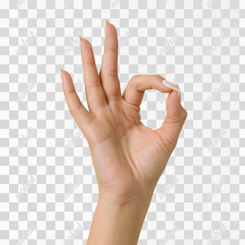 PNG Elegant OK Gesture Hand