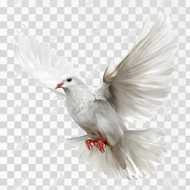 PNG Elegant White Dove in Flight - Vector Illustration PNG Elegant White Dove in Flight - Vector Illustration