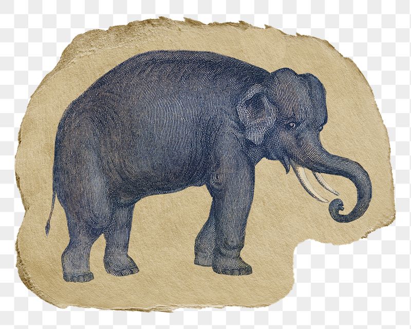 Png elephant sticker, Oliver Goldsmith's | Free PNG - rawpixel