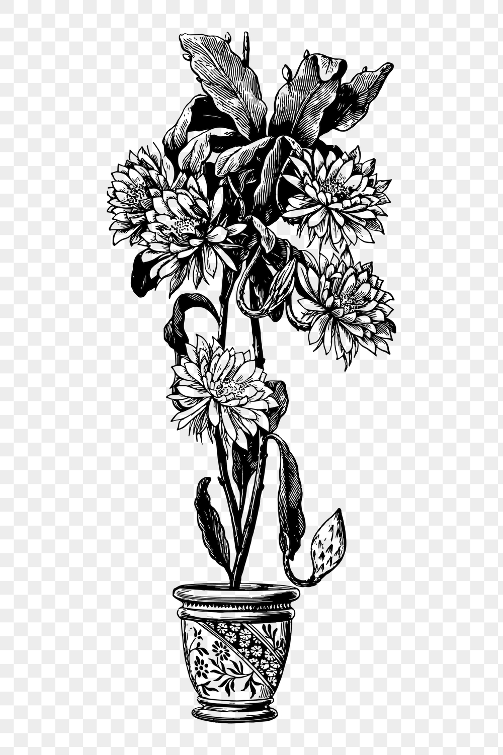 Png Epiphyllum flower pot sticker, | Free PNG - rawpixel
