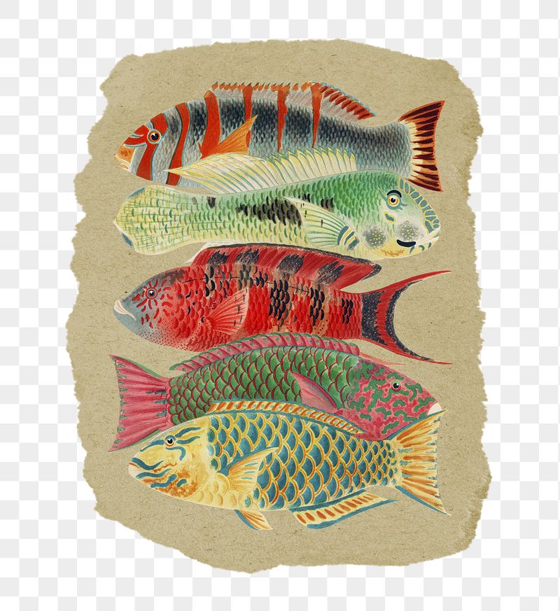 Png fish sticker, William Saville-Kent's | Free PNG - rawpixel